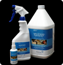 bed bug removal and spray
